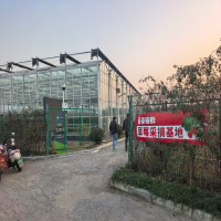 浙江荆门草莓温室大棚智能控制系统